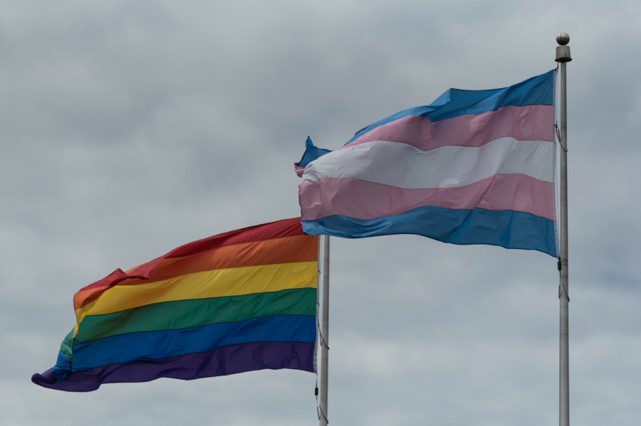 Columnist Sarah Poyer discusses the importance of National Coming Out Day.