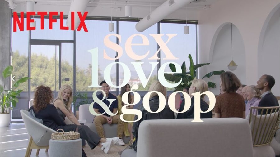 Gwyneth Paltrows lifestyle brand Goop has a new series out with Netflix, and the reviews are mixed.