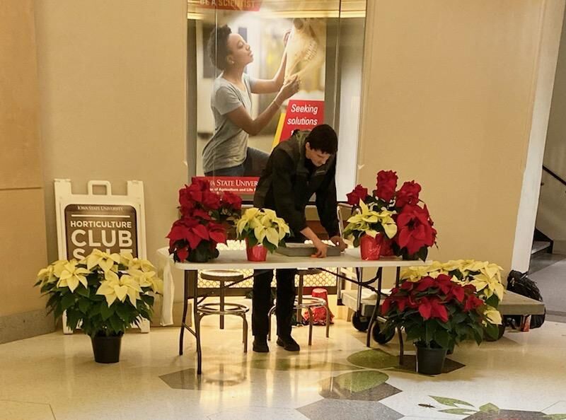 The poinsettia booth set up inside of Curtiss Hall.