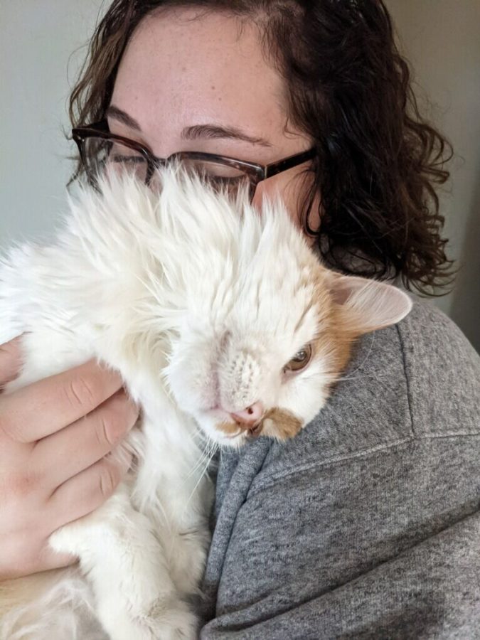 Columnist Sarah Poyer discusses the impact her cats have had on her and navigating the future without them.Poyer and her cat Sparky share some love. 