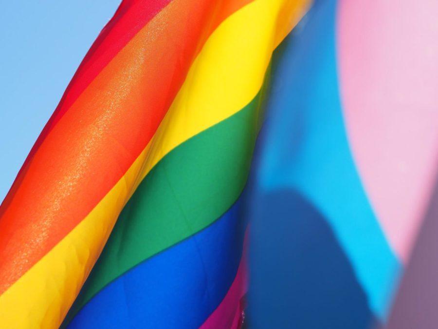 Columnist Harrison Markfield asks readers to speak out against the recent wave of anti-LGBTQIA+ bills.