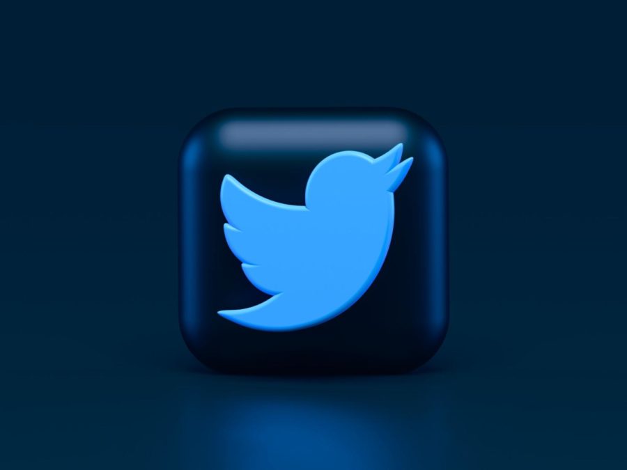 Columnist Jacob Mauren explains why Twitter is not the platform for free speech. 