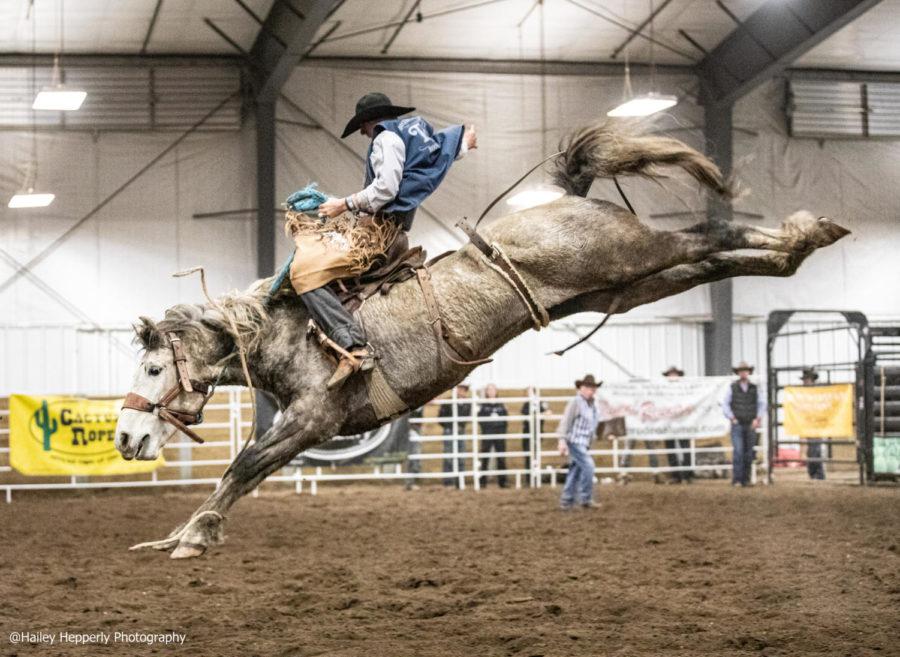 A bronco rider from Dickinson State University during the Iowa State University Cyclone Stampede Rodeo.