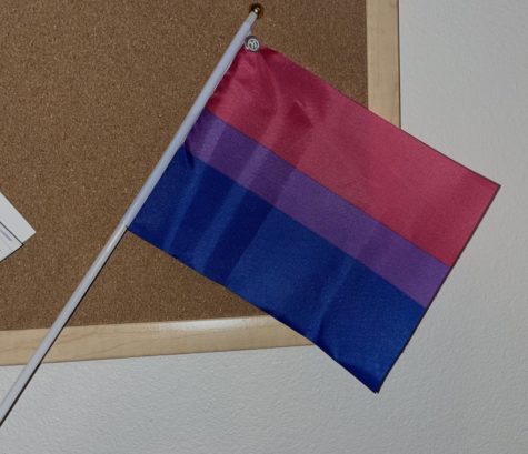 Pink, purple and blue stripped flags represent bisexuality.