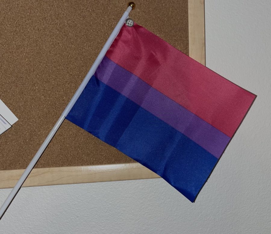 Pink%2C+purple+and+blue+stripped+flags+represent+bisexuality.