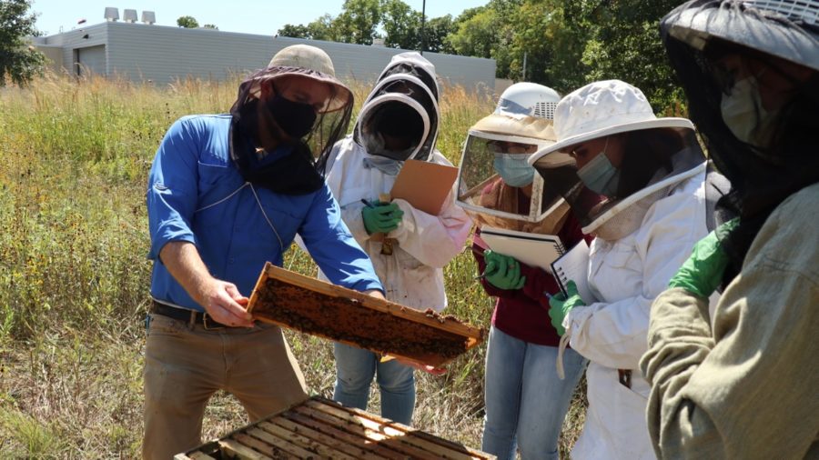 Members+of+the+Bee+Biology%2C+Management+and+Beekeeping+course+had+several+field+days+in+which+they+had+the+chance+to+observe+bees+and+the+practice+of+beekeeping.