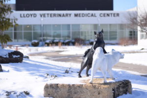 The Lloyd Veterinary Medical Center is a teaching hospital used to expose students to clinical environments as well as treat animals. The hospital is primarily made up of the Hixson-Lied Small Animal Hospital and the Equine and Farm Animal Hospital.