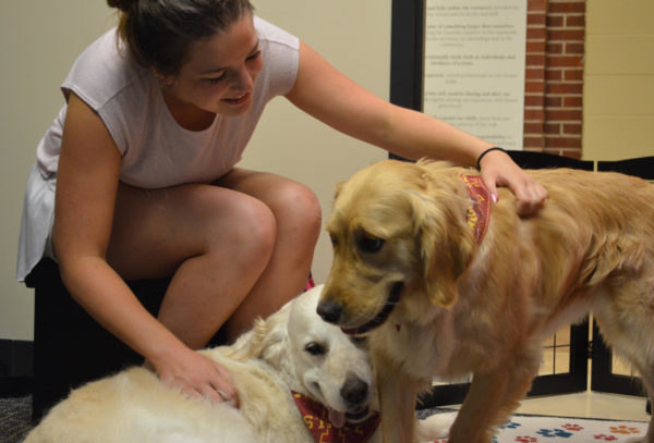 Julia Litecky pets therapy dogs Zosia and Sydni at the grand opening of Press Paws in Hamilton Hall on Aug. 23, 2023. 
