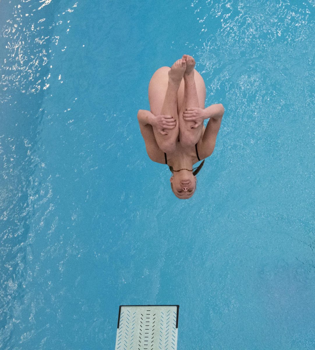 An Iowa State dive team member launches off of the board during the one-meter dive against Iowa on Friday, Dec. 8, 2023, at Beyer Hall in Ames, Iowa.