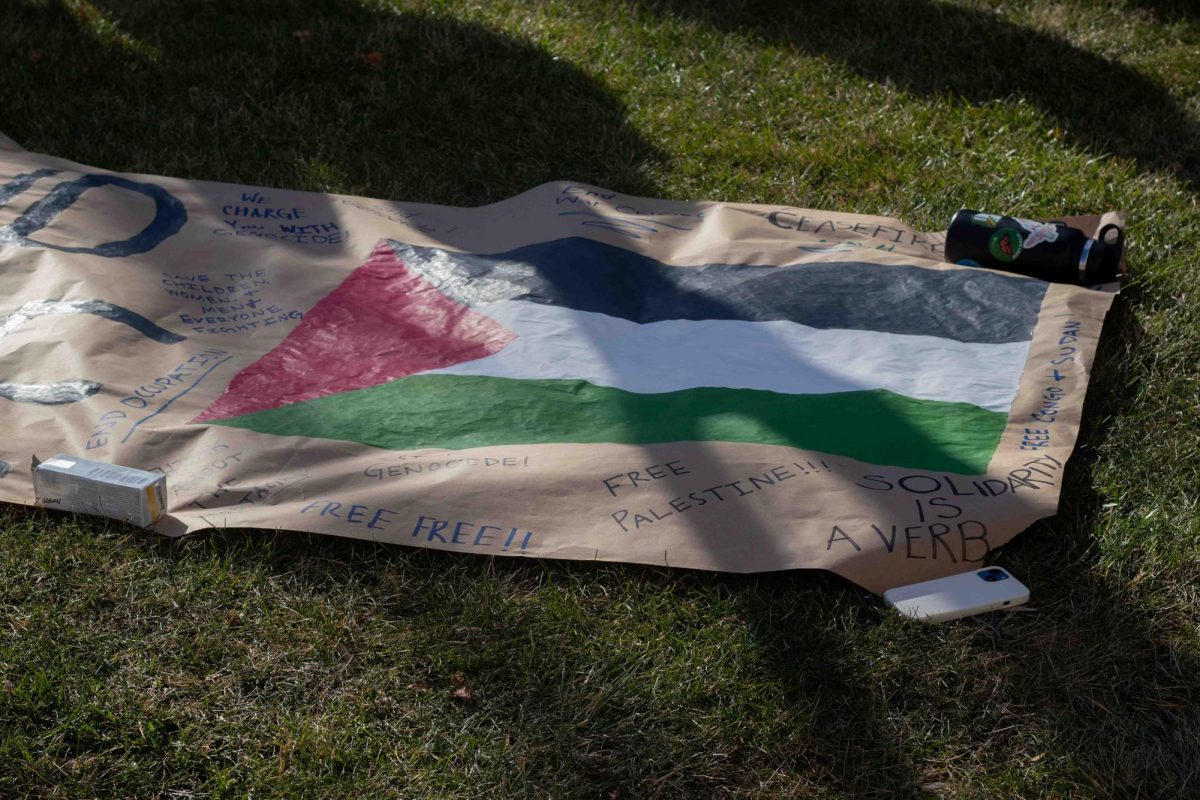 Palestinian flag drawn on students poster on Parks Library lawn 