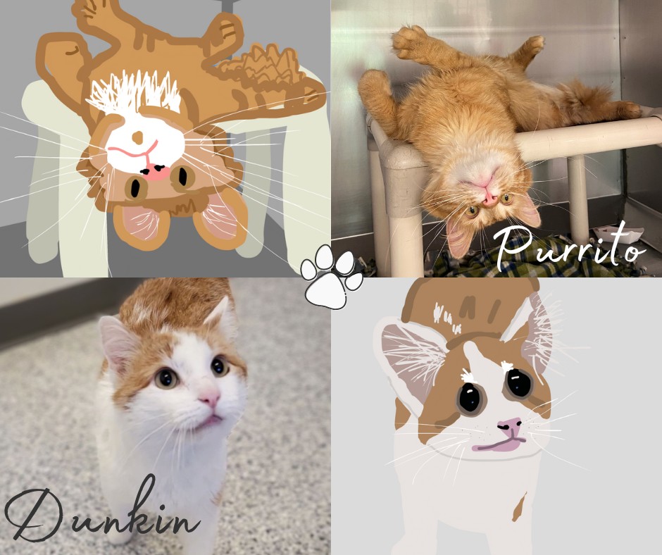 Poorly Drawn Pets to raise funds for Story County Animal Shelter