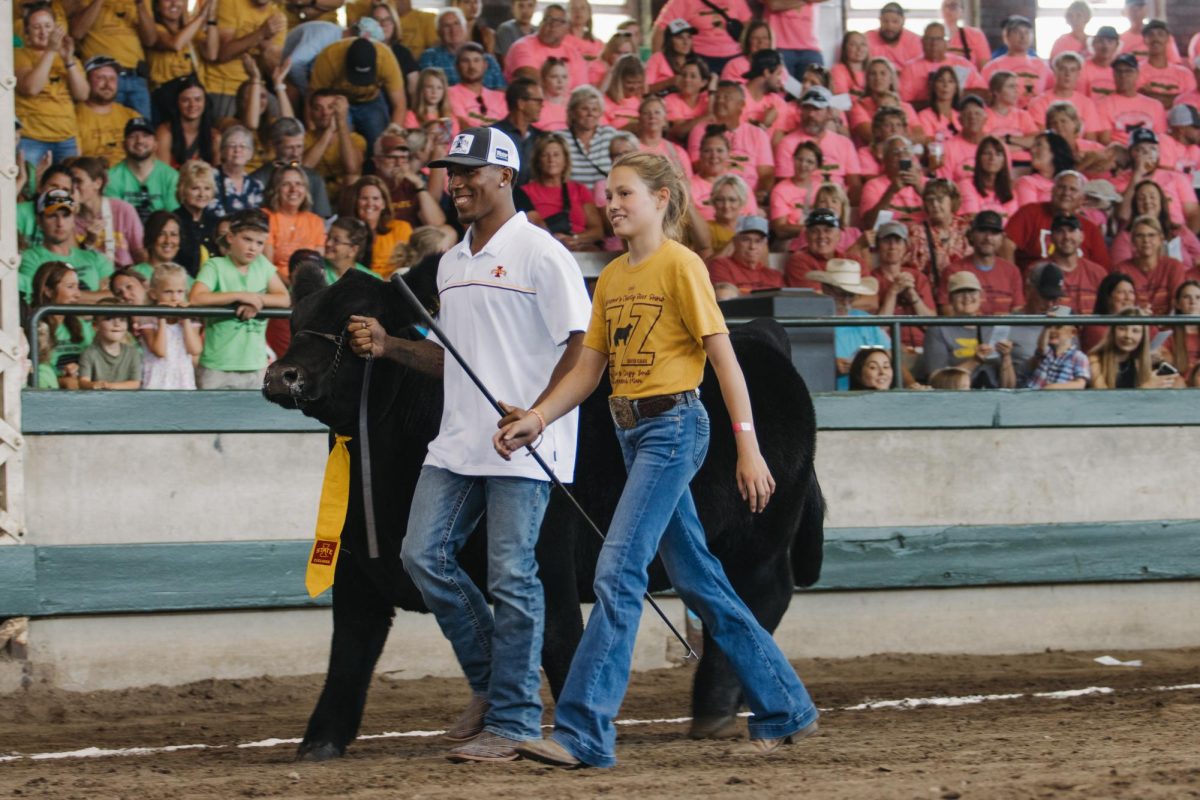 David Carr exhibits Kate Totemeier's steer in the 2024 Iowa State Fair Governor Charity Steer Show at the Livestock Pavilion on Aug. 10, 2024.