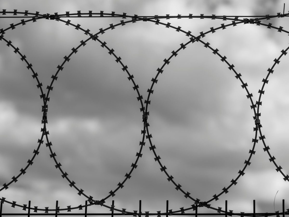 Black and white photo of barbed wire on fence.