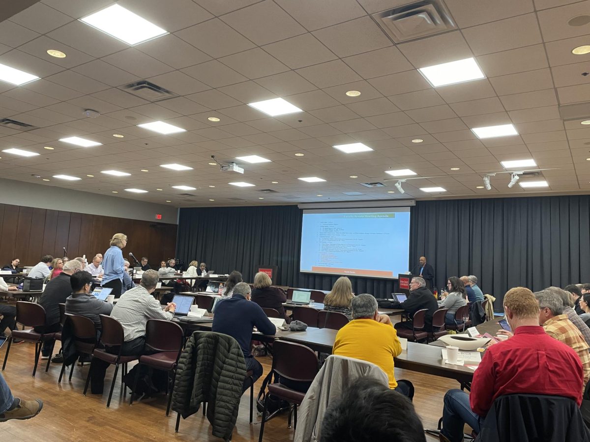 Faculty Senate meets during its March 4 meeting. 