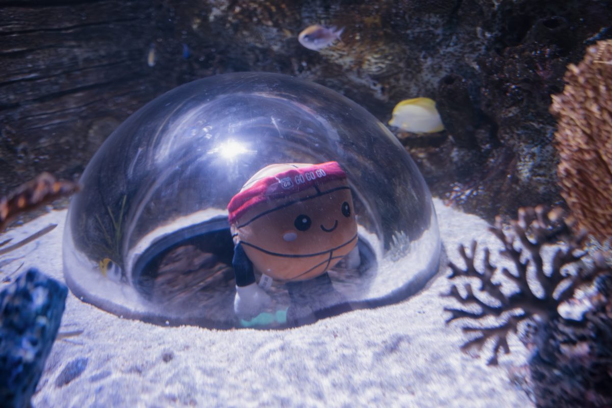Iowa State "Bonus Sports Reporter, Ford" at SEA LIFE in Kansas City, Missouri, March 13, 2026.